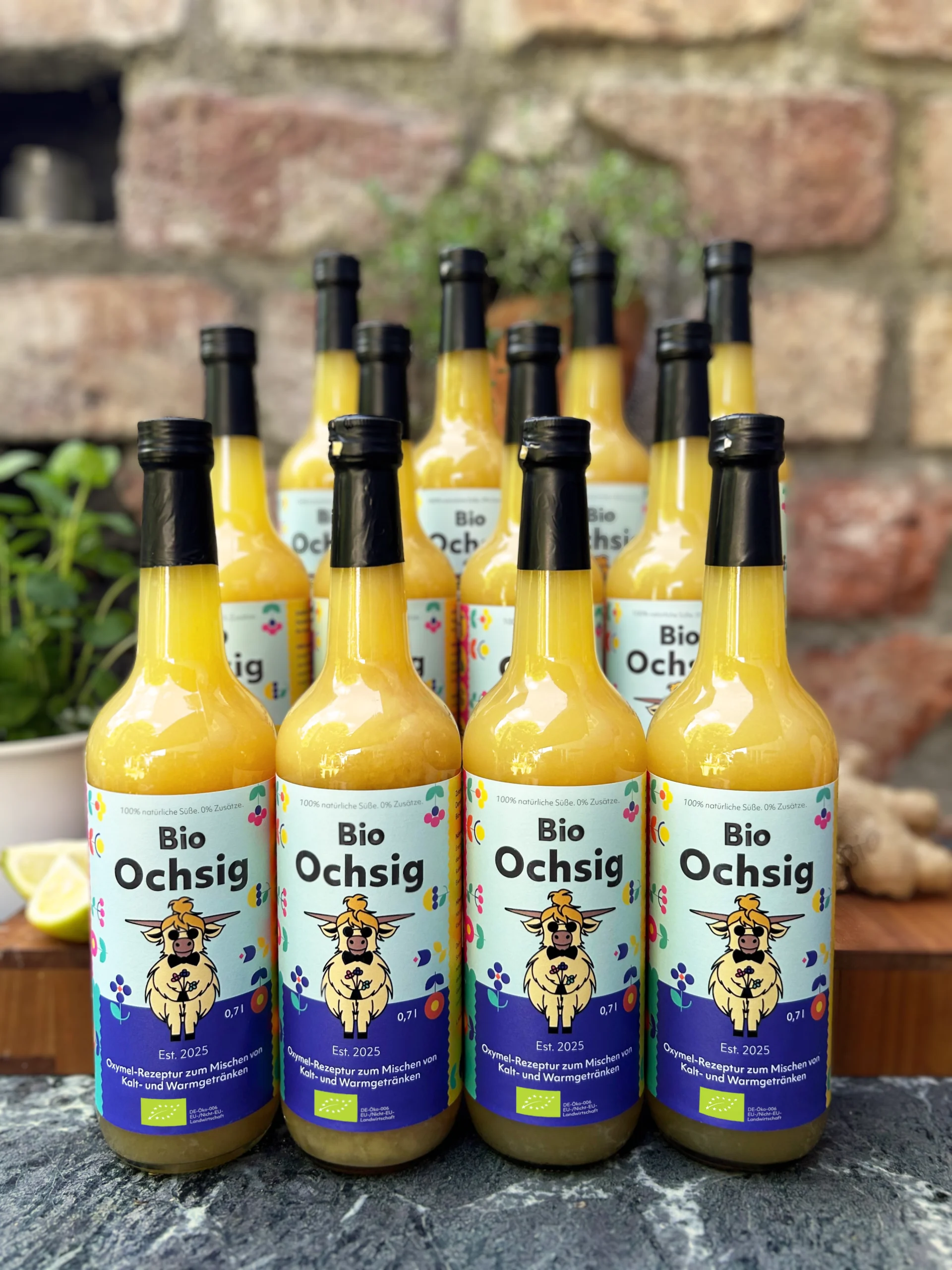 Bio Ochsig Oxymel 0,7 l Set 12 Flaschen